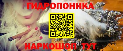 гашиш Гай
