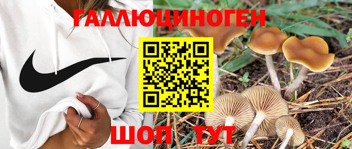 Мурманск  Псилоцибиновые грибы Cubensis  Вход с VPN 